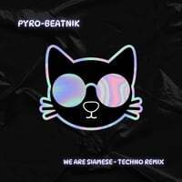 We Are Siamese (Techno Remix)